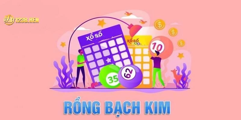 Rồng bạch kim - thông tin quan trọng cần nắm
