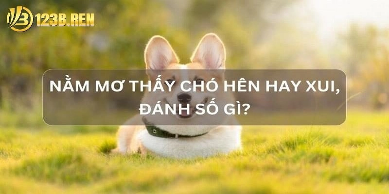 Mơ Thấy Chó: Giải Mã Điềm Báo Và Cơ Hội Thắng Lớn Cùng 123B